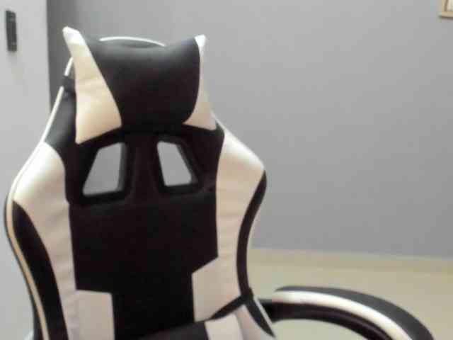 LaraCat1 webcam