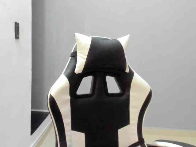 LaraCat1 webcam