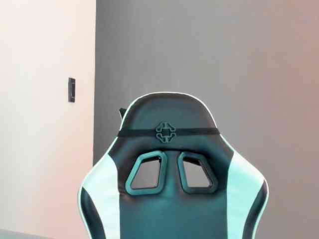 LaraCat1 webcam