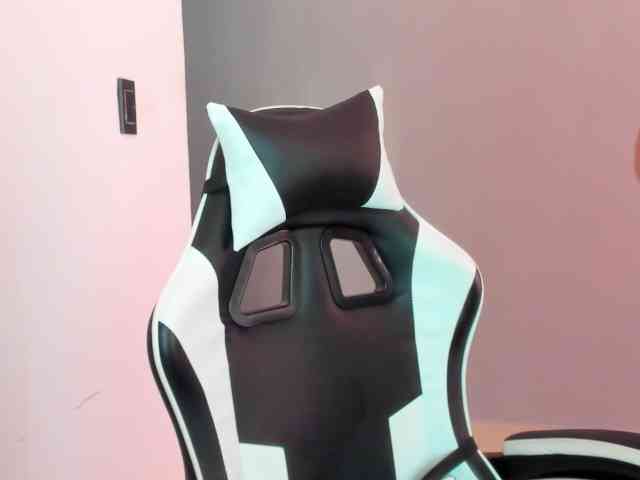 LaraCat1 webcam