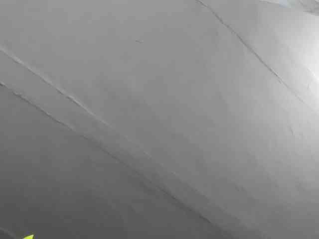 LaraCat1 webcam