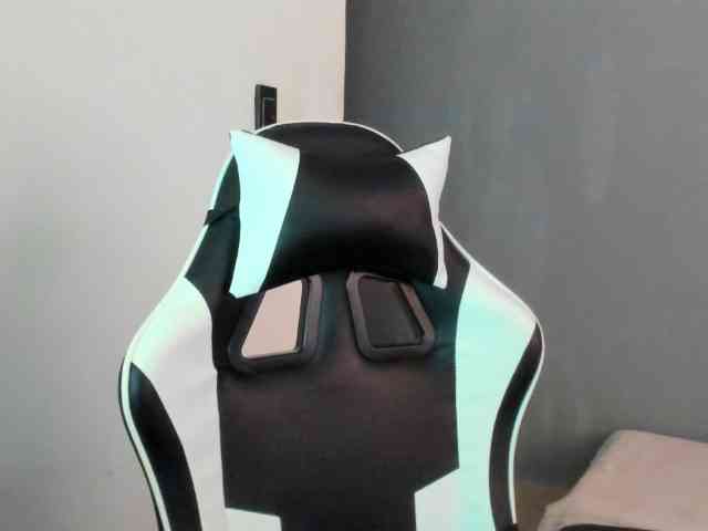 LaraCat1 webcam