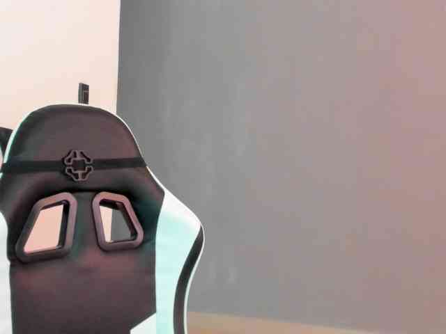 LaraCat1 webcam