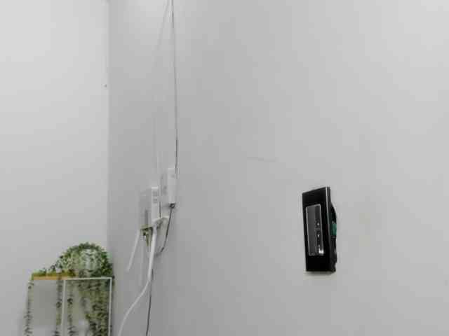 LaraCat1 webcam
