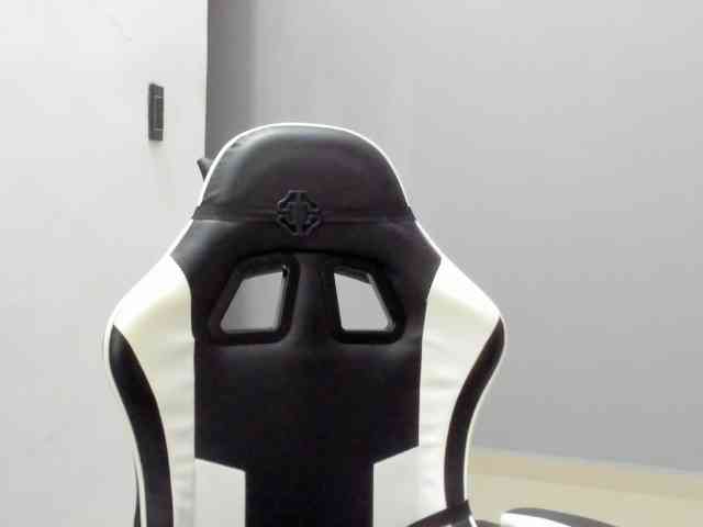 LaraCat1 webcam