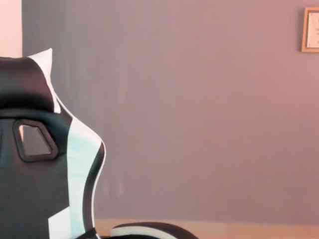 LaraCat1 webcam