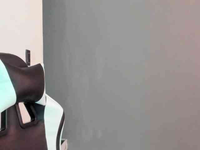 LaraCat1 webcam