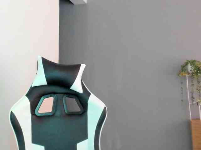 LaraCat1