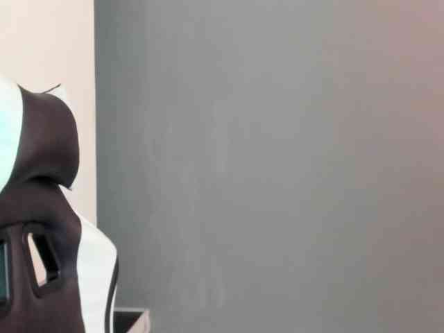 LaraCat1 webcam