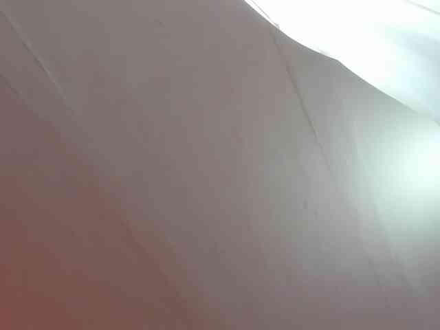 LaraCat1 webcam
