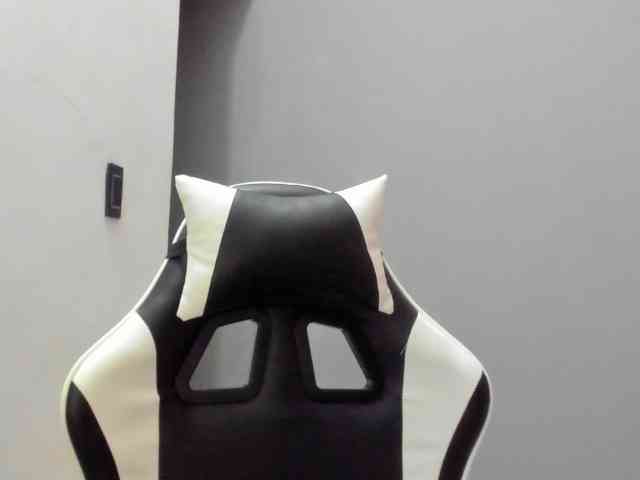 LaraCat1 webcam