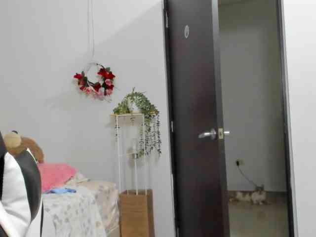 LaraCat1 webcam