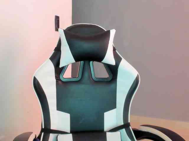 LaraCat1 webcam