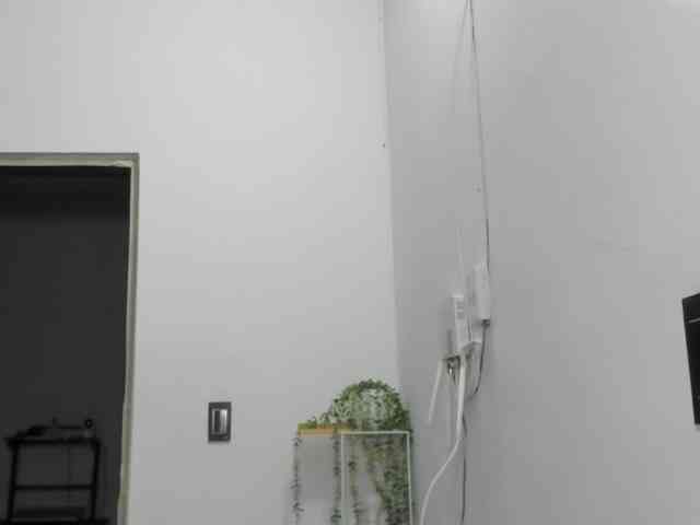 LaraCat1 webcam