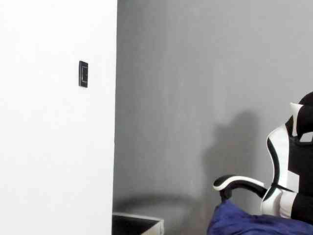 LaraCat1 webcam