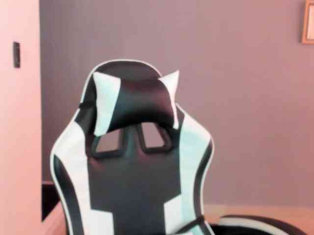 LaraCat1 webcam