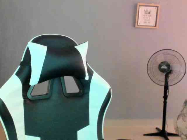 LaraCat1 webcam