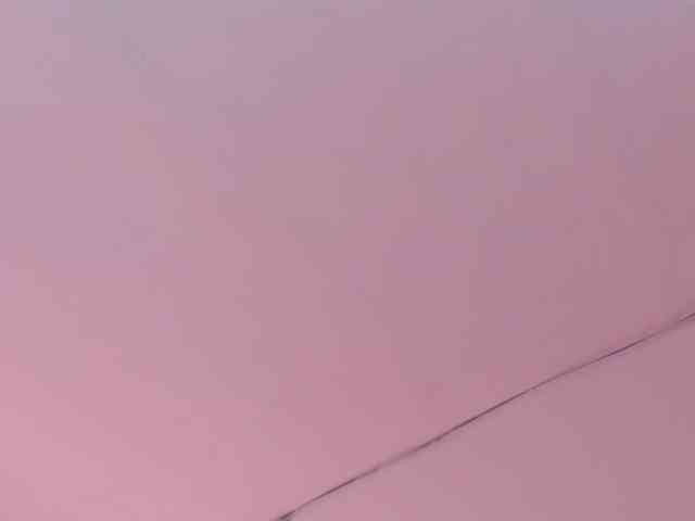LaraCat1 webcam