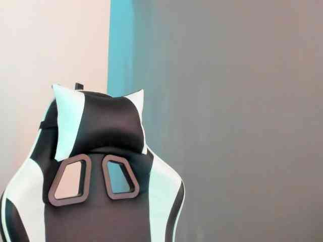 LaraCat1 webcam