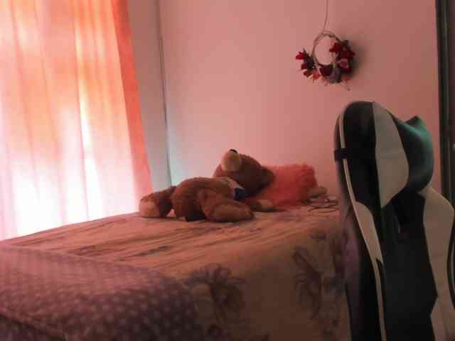 LaraCat1 webcam