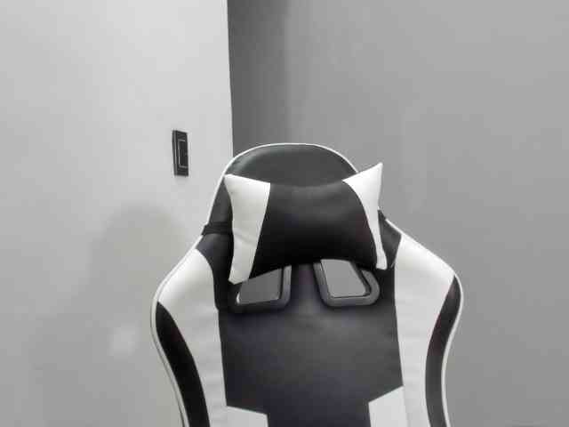 LaraCat1 webcam