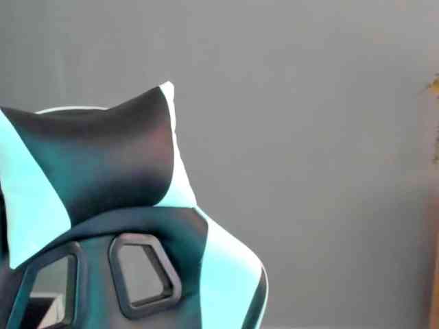 LaraCat1 webcam