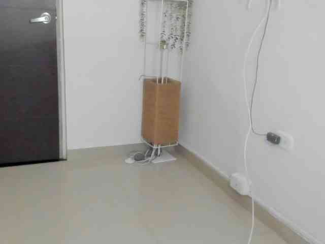 LaraCat1