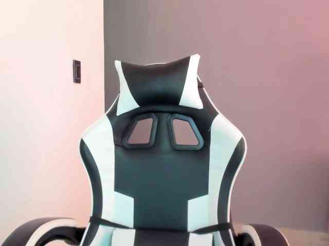 LaraCat1 webcam