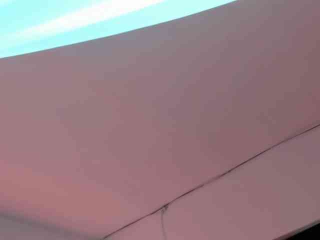 LaraCat1 webcam