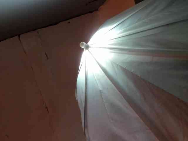 LaraCat1 webcam