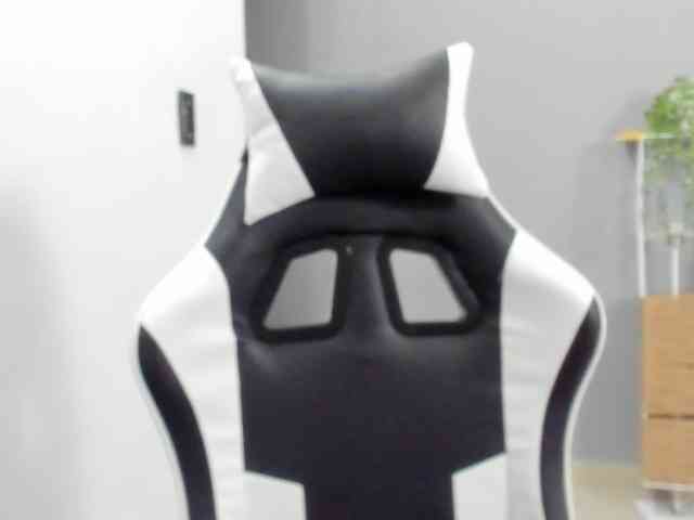 LaraCat1