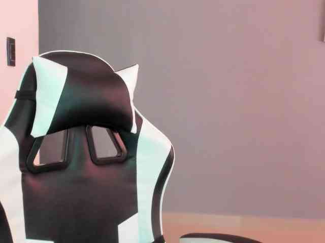 LaraCat1 webcam