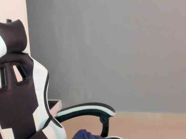 LaraCat1 webcam
