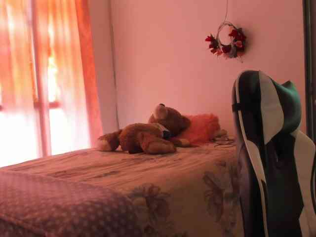 LaraCat1 webcam