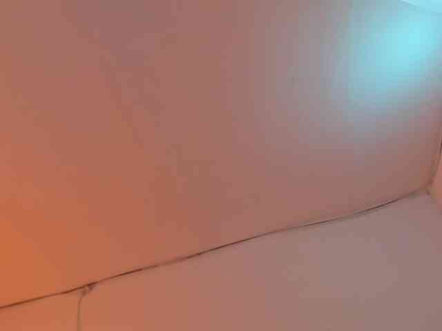 LaraCat1 webcam