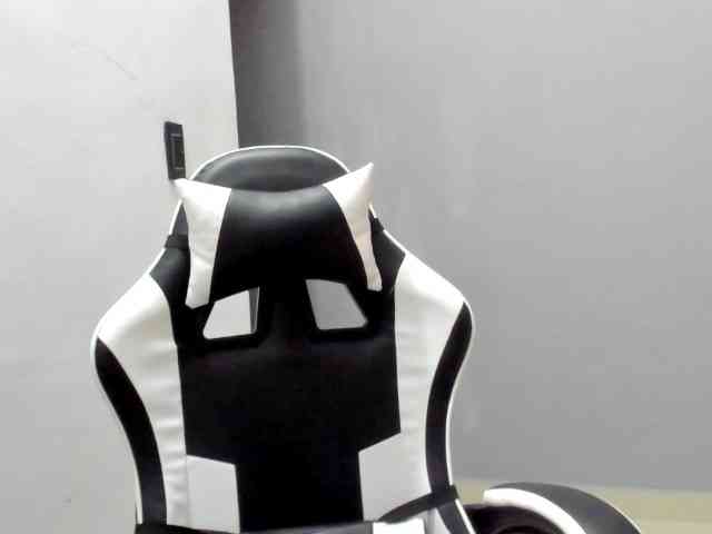 LaraCat1 webcam