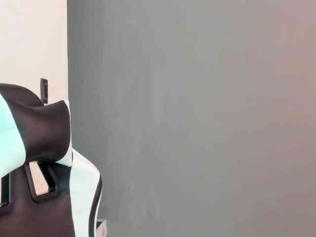 LaraCat1 webcam