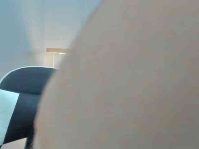 LaraCat1 webcam