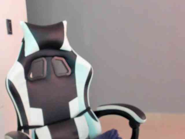 LaraCat1 webcam