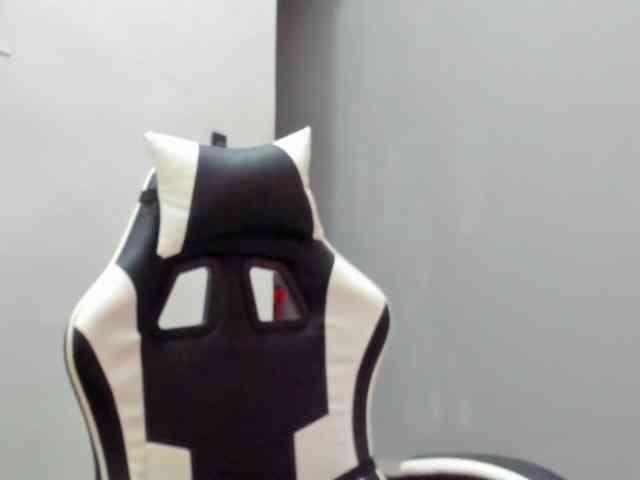 LaraCat1 webcam