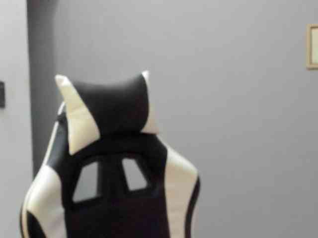 LaraCat1