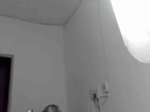 LaraCat1 webcam