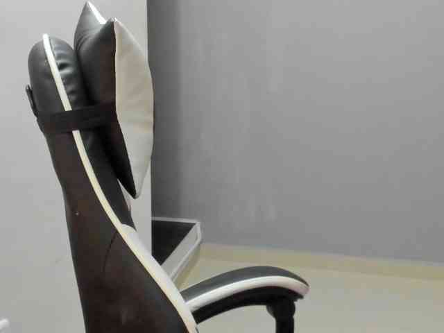 LaraCat1 webcam