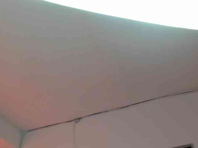 LaraCat1 webcam