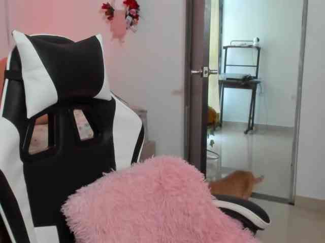 LaraCat1 webcam