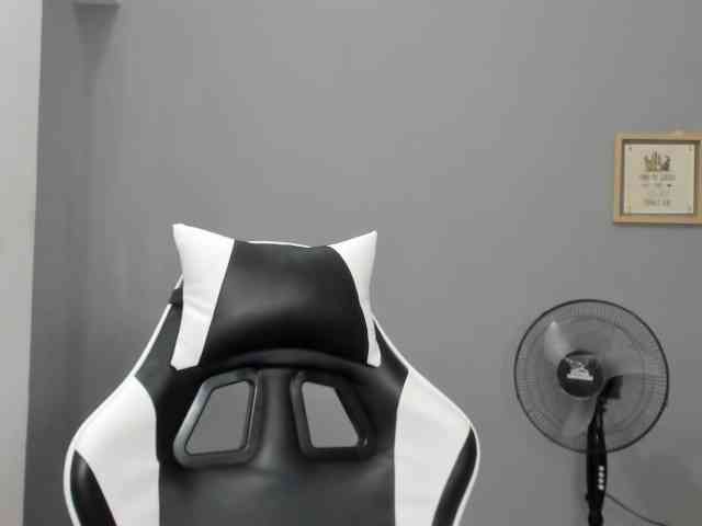 Model: LaraCat1
