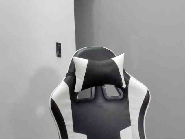 LaraCat1 webcam