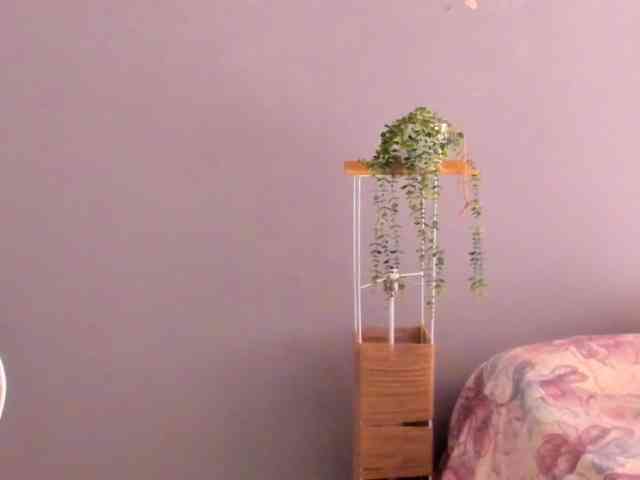 LaraCat1 webcam