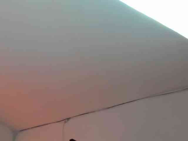 LaraCat1 webcam