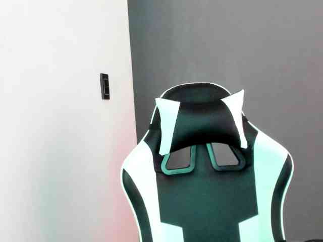 LaraCat1 webcam
